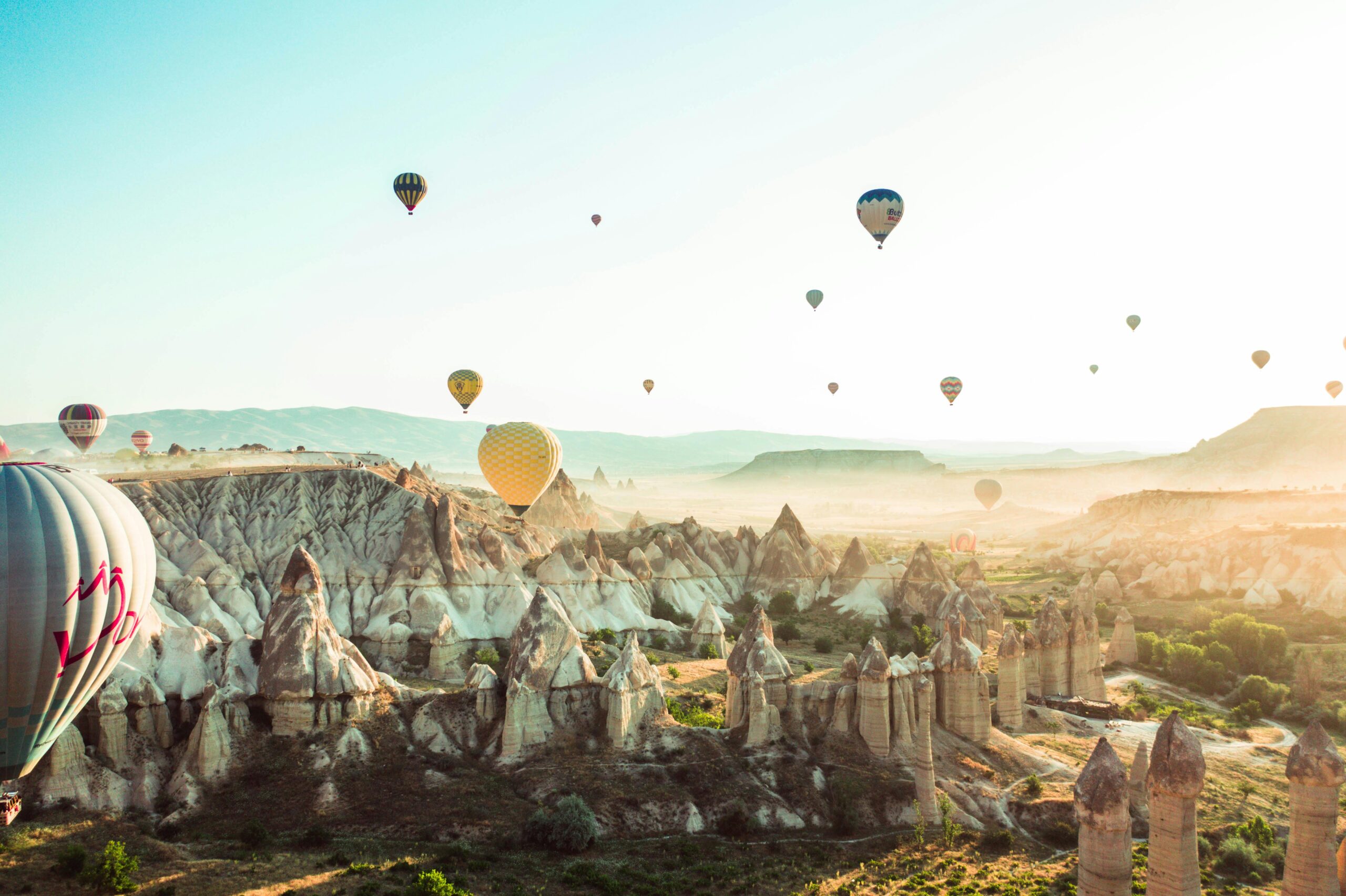 | The Golden Portugal